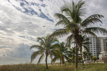Fototapeta na wymiar Pompano Beach in Florida