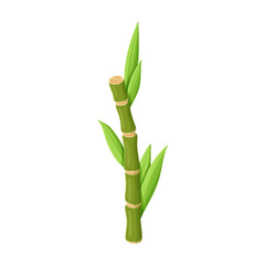 Stem of sugar cane vector icon.Cartoon vector icon isolated on white background stem of sugar cane .