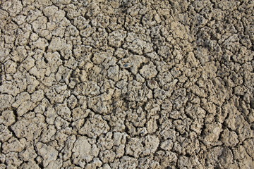 Drought in the savannah.