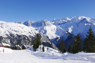 Fototapeta na wymiar holiday at the foot of Mont Blanc, France