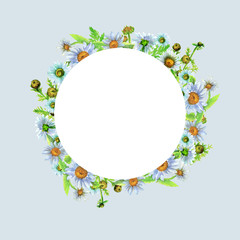 Round frame with camomile flowers. Freehand watercolor drawing