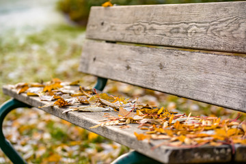 Bench in Autumn park covered with autumn leaves