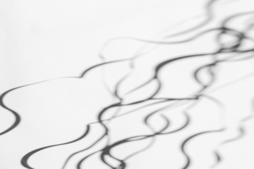 Organic drop abstract diagonal curvy lines shadow on a white wall, overlay effect for photo and mockups