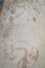 Wooden planks in close up - background	