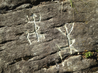 Rock paintings of ancient people. Image of deer or moose.