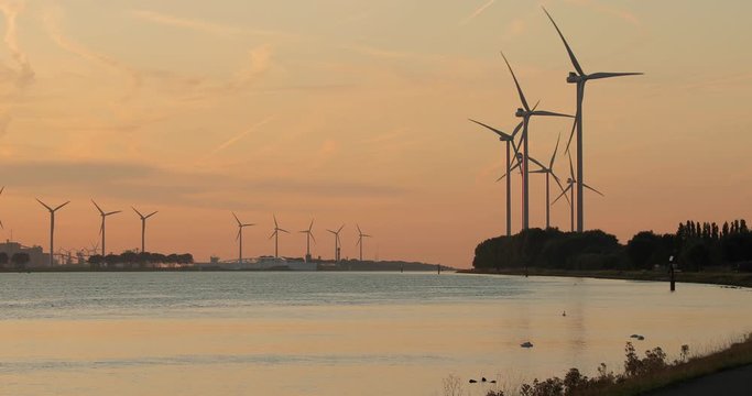 Many wind power turbines in twilight near Rotterdam, Maassluis, Nieuwe Waterweg, The Netherlands