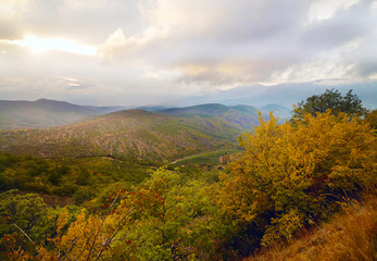 Obraz premium Autumn forest, yellow leaves, mountains