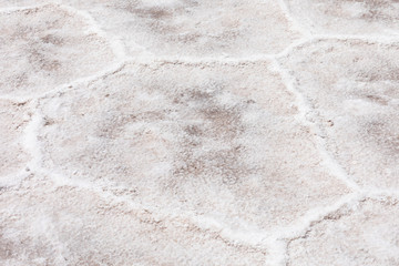 Salar 11