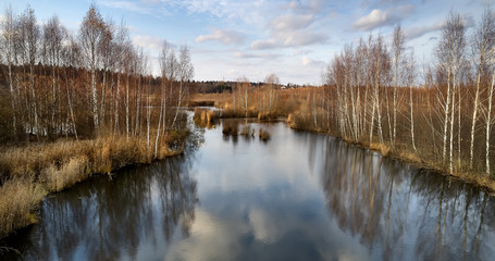 Autumn birches are reflected in the water