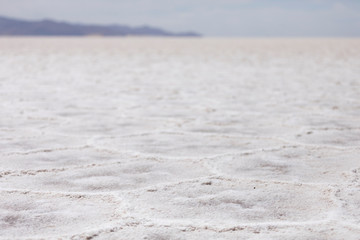 Salar 15