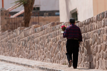 Flores