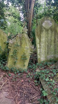 London, Abney Park Cemetery. Cemetery.