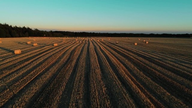 Strohballen auf einen Feld in der Herbst Abendsonne