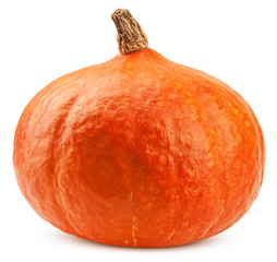Pumpkin isolated on white background, clipping path, full depth of field