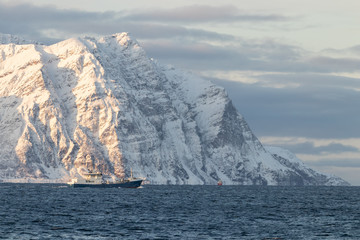 Fototapeta na wymiar Ship in the Fjord