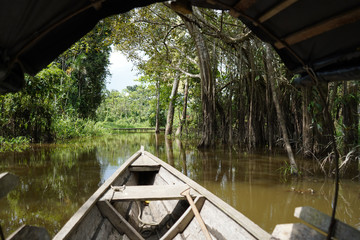 Fototapeta na wymiar Amazonie