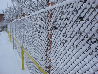 Wire fence in the snow.  Metallic net with snow. Metal net in winter covered with snow. Wire fence...