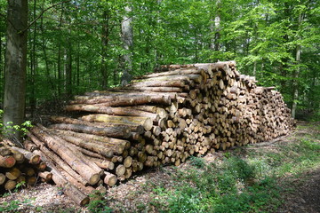 Holzstoß