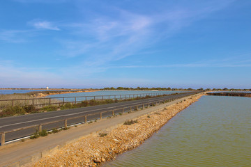 Salinas de San Pedro del Pinatar, Murcia, España