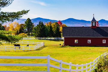 a Vermont horse farm with red barn in autumn fall foliage colors  © vermontalm