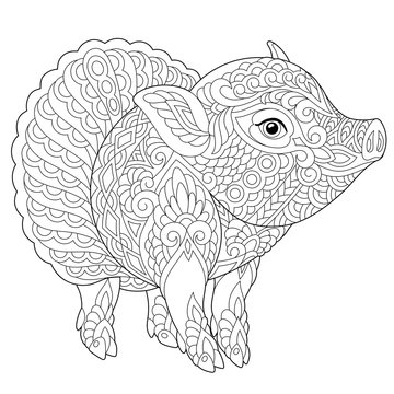 coloring page with pig