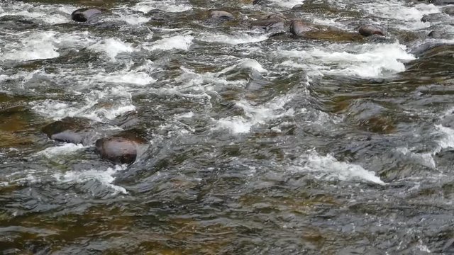 Wide view showing fast water rushing down shallow rapids