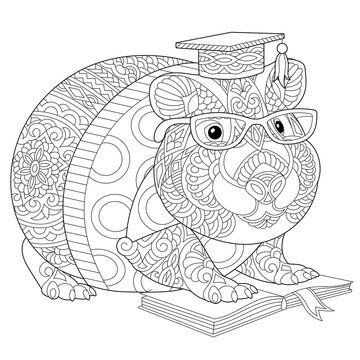 coloring page with hamster
