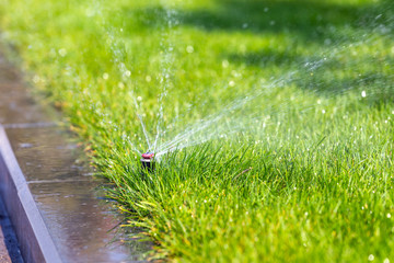 Underground sprinkler system  watering park lawn - obrazy, fototapety, plakaty
