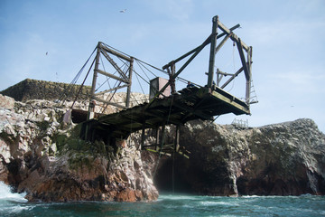 Guano collectors in Ballesta Islands, Peru