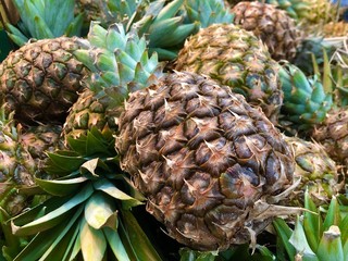 Background texture: ripe, delicious pineapples. Exotic fruits on a grocery store shelf. Pineapple season, harvesting. Concept: healthy diet, fruit diet, vitamins.