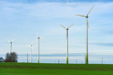 wind turbines in green field