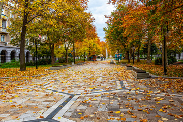 Bulgaria Boulevard Sunday autumn view in Dimitrovgrad, Haskovo Province, Bulgaria