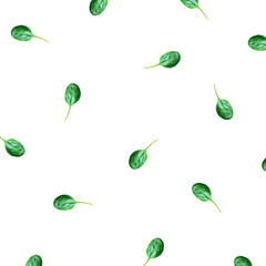 The pattern of spinach leaves on a white background