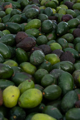 Avocado set in street market