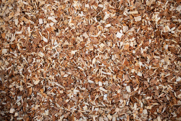 Wooden . Sawdust from wood