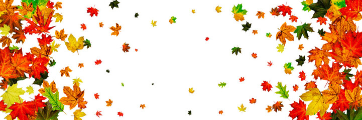 Fototapeta premium Fall season. Autumn leaves falling pattern isolated on white. Thanksgiving concept