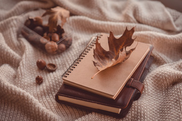 Still life in brown tones with diaries and the oak autumn leaf