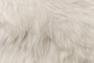 White artificial fur texture for background close-up