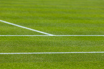Fototapeta na wymiar Tennis lawn Court, net grass and baseline 