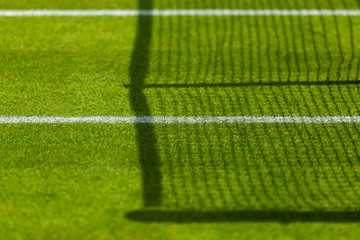 Tennis lawn Court, net grass and baseline  - 303433603