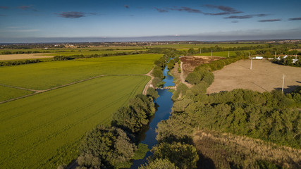 Beautiful green willow trees forest with boardwalk at Benavente, Portugal