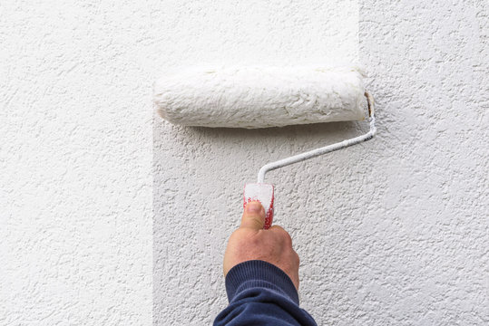 hand holds  paint roller and painting  a wall