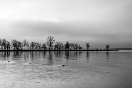 Black and white image of tranquil november lake with trees  on a pier in the background.