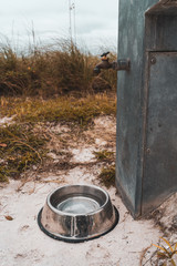 old bucket of water