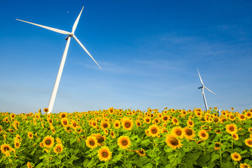 Wind turbine generator on blue sky with sunflower field