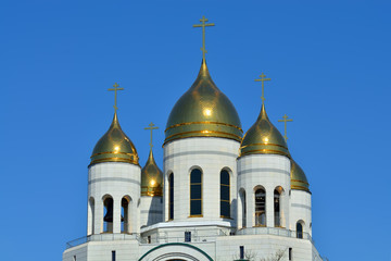 Domes of Cathedral of Christ the Saviour. Kaliningrad, Russia