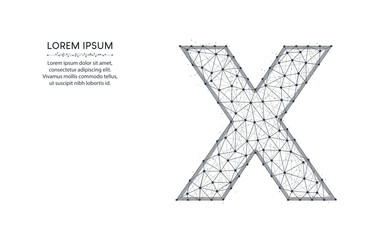 Letter X low poly design, alphabet abstract geometric image, font wireframe mesh polygonal vector illustration made from points and lines on white background