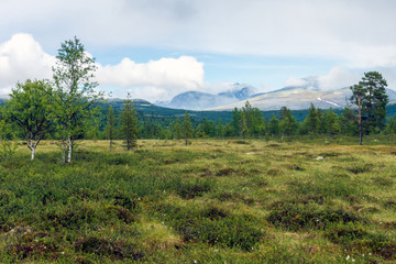 Norwegian mountain scenery landscape overlooking the beautiful mountains of Rondane national park during summer..Travel and explorer concept.