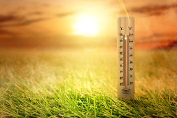 Thermometer with high temperature on the meadow with glowing sun background - obrazy, fototapety, plakaty