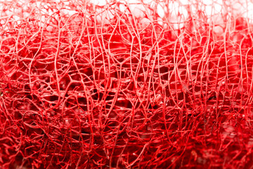 Red flower strange tropical blossom fruit macro background fifty megapixels prints
